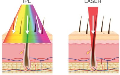 60230501_1255360017966949_3835919752589475840_o